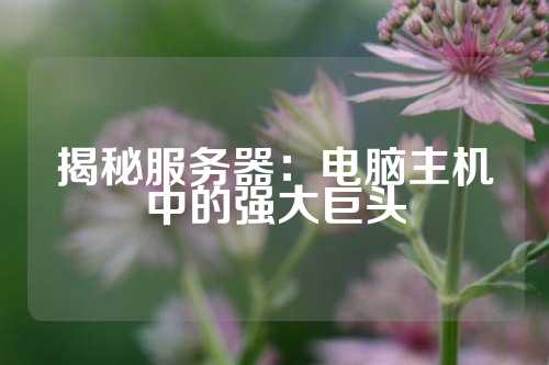 揭秘服务器：电脑主机中的强大巨头