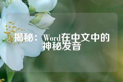 揭秘：Word在中文中的神秘发音