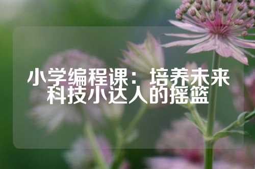 小学编程课：培养未来科技小达人的摇篮