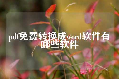 pdf免费转换成word软件有哪些软件