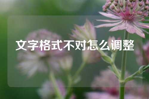 文字格式不对怎么调整