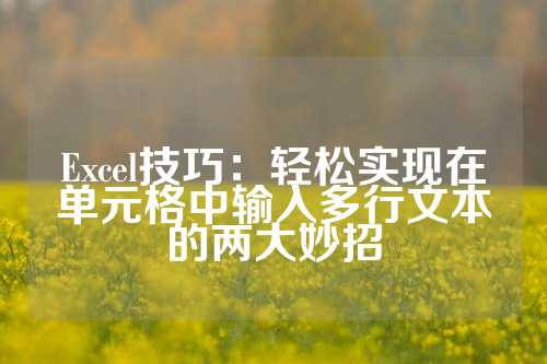 Excel技巧：轻松实现在单元格中输入多行文本的两大妙招