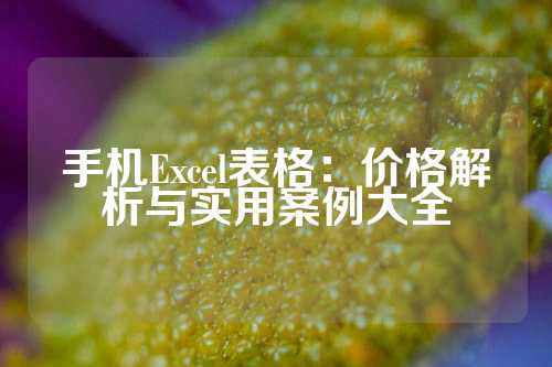 手机Excel表格：价格解析与实用案例大全