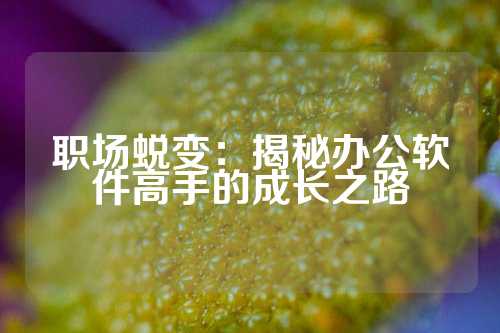 职场蜕变：揭秘办公软件高手的成长之路