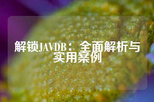 解锁JAVDB：全面解析与实用案例