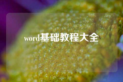 word基础教程大全