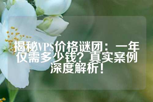 揭秘VPS价格谜团：一年仅需多少钱？真实案例深度解析！