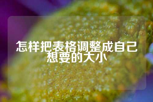 怎样把表格调整成自己想要的大小