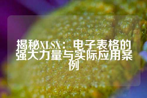 揭秘XLSX：电子表格的强大力量与实际应用案例