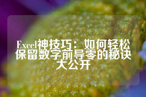 Excel神技巧：如何轻松保留数字前导零的秘诀大公开