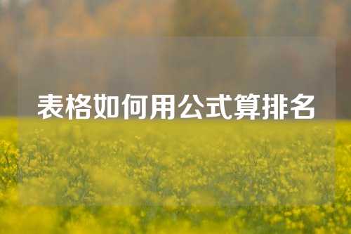 表格如何用公式算排名