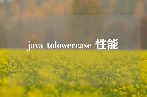 java tolowercase 性能