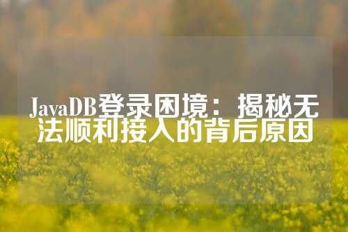 JavaDB登录困境：揭秘无法顺利接入的背后原因