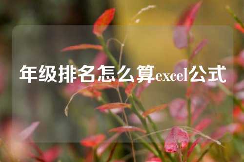 年级排名怎么算excel公式