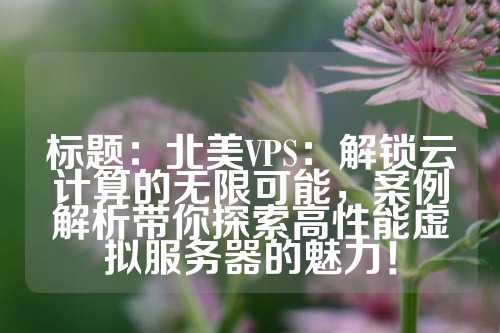 标题：北美VPS：解锁云计算的无限可能，案例解析带你探索高性能虚拟服务器的魅力！