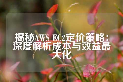 揭秘AWS EC2定价策略：深度解析成本与效益最大化