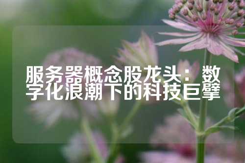 服务器概念股龙头：数字化浪潮下的科技巨擘