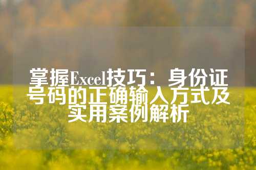 掌握Excel技巧：身份证号码的正确输入方式及实用案例解析