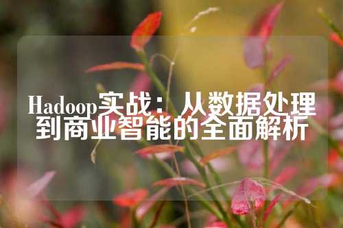 Hadoop实战：从数据处理到商业智能的全面解析