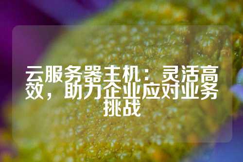 云服务器主机：灵活高效，助力企业应对业务挑战