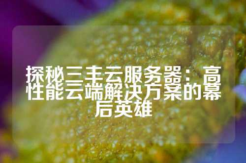 探秘三丰云服务器：高性能云端解决方案的幕后英雄