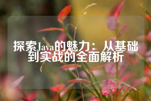 探索Java的魅力：从基础到实战的全面解析