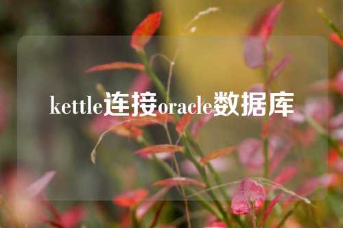 kettle连接oracle数据库