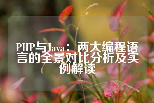 PHP与Java：两大编程语言的全景对比分析及实例解读