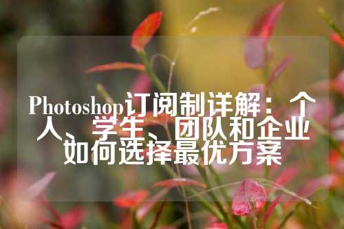 Photoshop订阅制详解：个人、学生、团队和企业如何选择最优方案