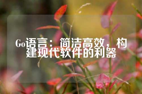 Go语言：简洁高效，构建现代软件的利器