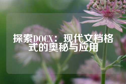 探索DOCX：现代文档格式的奥秘与应用