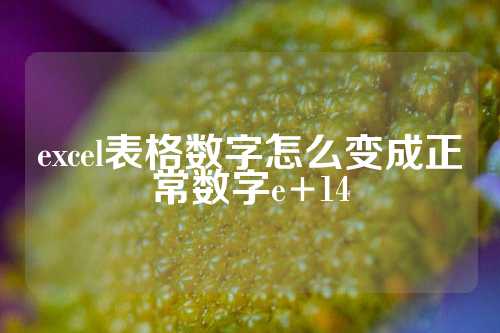 excel表格数字怎么变成正常数字e+14