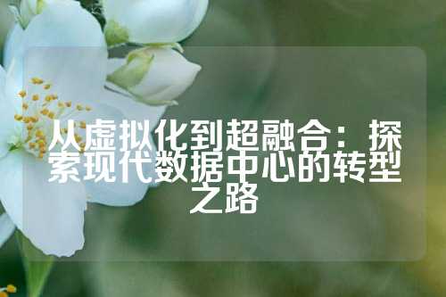 从虚拟化到超融合：探索现代数据中心的转型之路