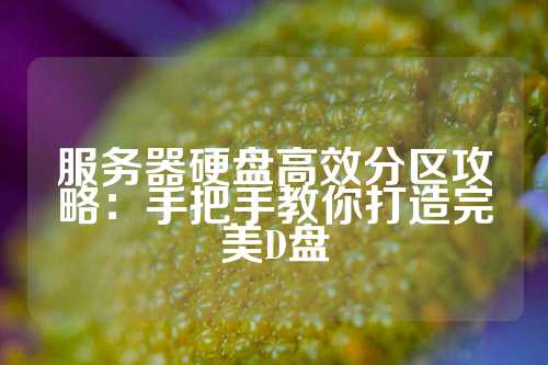 服务器硬盘高效分区攻略：手把手教你打造完美D盘