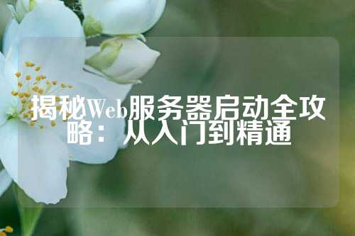 揭秘Web服务器启动全攻略：从入门到精通